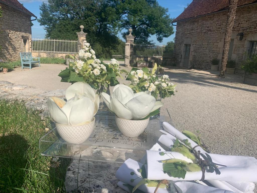 Manoir De Malagorse Cuzance Exterior photo